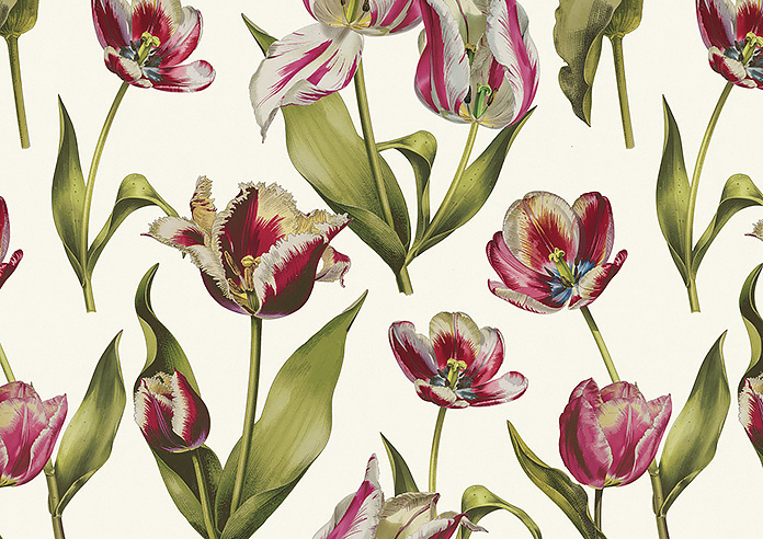 Carries, Cosmos - Roman Blind - Image 7